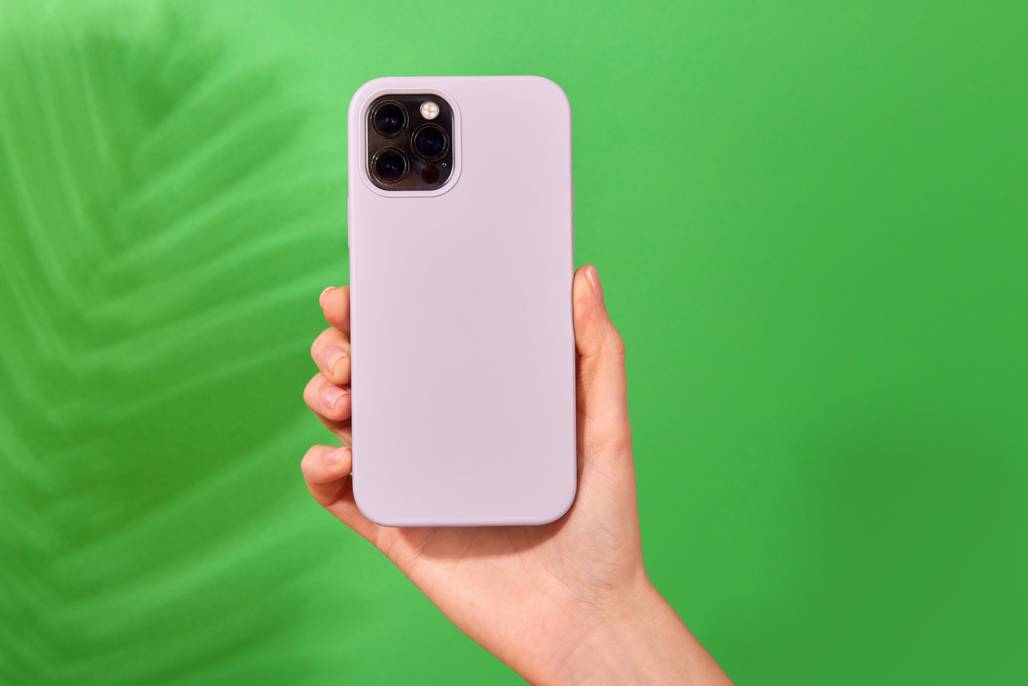 Accesorios/funda violeta en un fondo verde